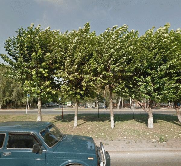 Банкомат банка Югра по адресу ул. 50 лет Октября, д. 38, 3-й кор. ТюмГНГУ