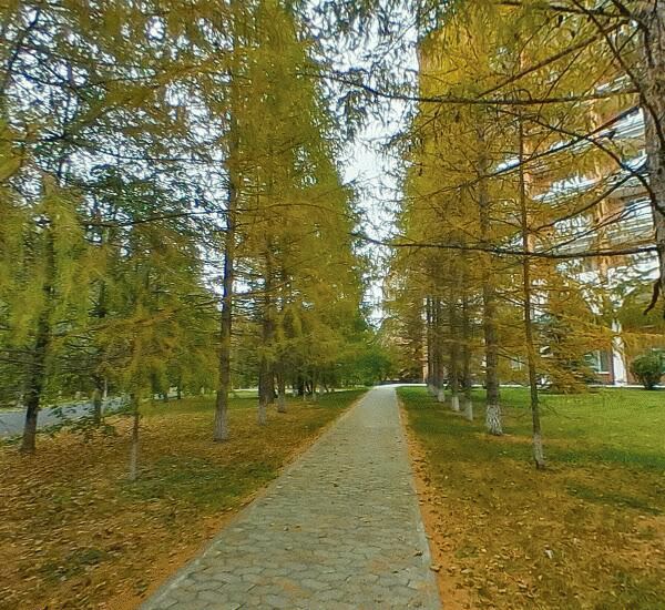 Банкомат Банка «ФК Открытие» по адресу Червишевский тракт,  19 км,  д. 1